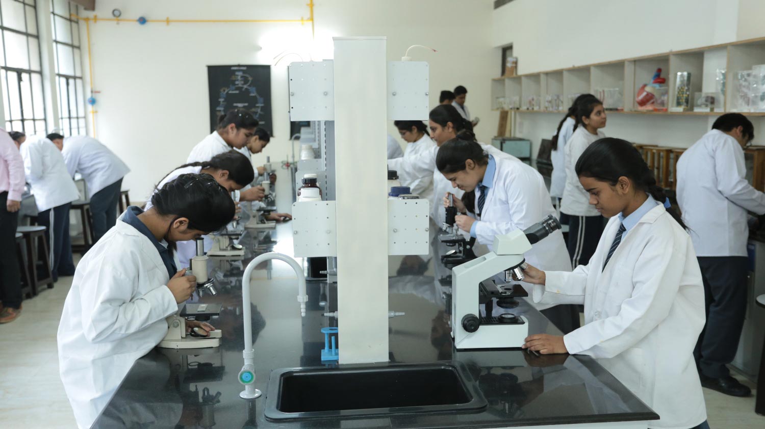biology (1)